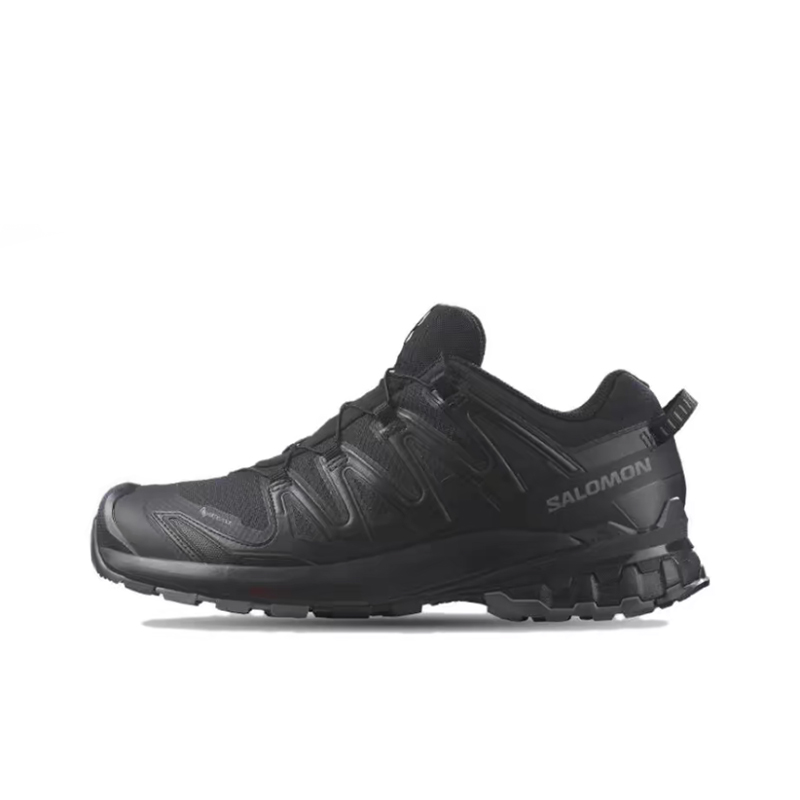 Salomon XA Pro 3D V9 GTX: Styl - Salomon Shoes Xa Pro 3D review and price